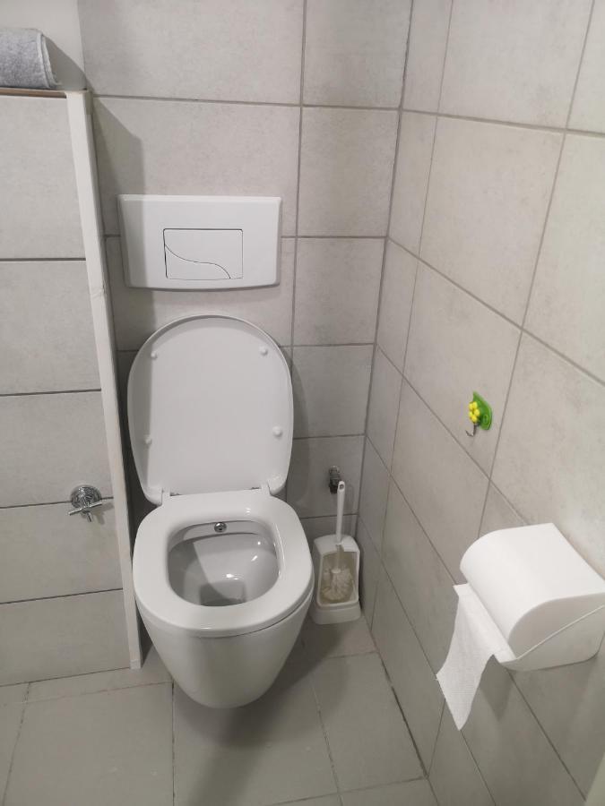 Bel Appartement, Grand Balcon Et Parking Prive Selestat Exterior photo